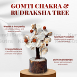 Gomti Chakra & Rudraksha Tree