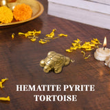 Fortune Tortoise Set Of 2