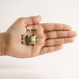 Fortune Tortoise Set Of 2