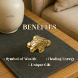 Fortune Tortoise Set Of 2